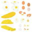 Eggs illustration set. Cooked, scrambled, omelette, raw, fired and tamagoyaki.  Vector. 