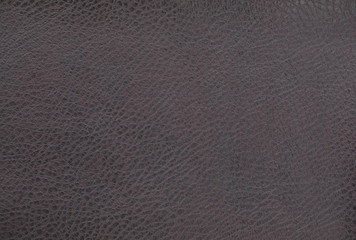 Wall Mural - texture black leather for car interior