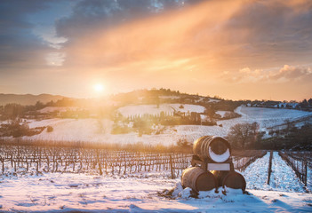 Vineyards rows covered by snow in winter at sunset. Chianti, Siena, Italy