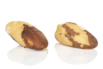 Group of two whole brazil brown nut isolated on white background