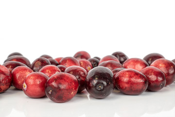 Wall Mural - Lot of whole fresh red cranberry heap isolated on white background