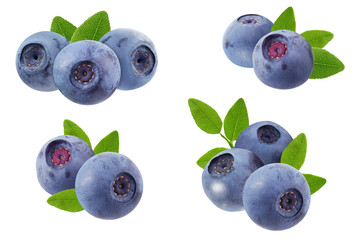 Wall Mural - huddle forest blueberries with leaves isolated on white background