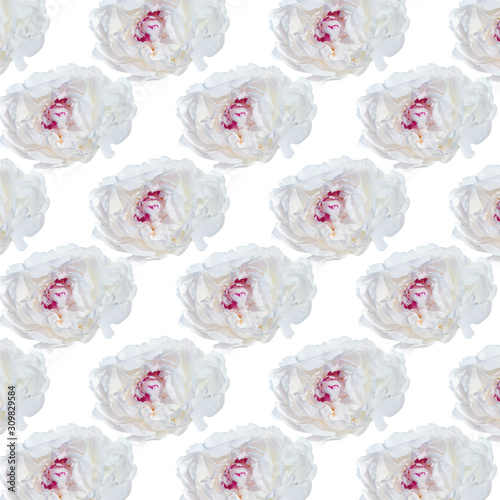 Pattern of white peony flower with a pink center