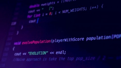 Wall Mural - developer writing a code and coding some application or website