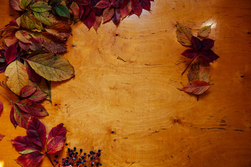 Red and yellow autumn leaves on wooden background