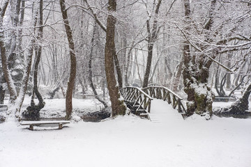 Wooden bridge covered with snow. Snowy and cold day in the park. Winter background