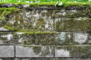 Ancient stone wall overgrown with grass and moss. Texture of old bricks wall