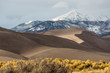 © Patrick - Landscape view of dunes at Great Sand Dunes National Park in Colorado, the tallest sand dunes in North America.