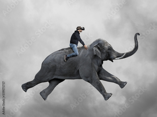 Cuadros en Lienzo Young man experiencing virtual reality eyeglasses using on african elephant flyi
