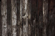 Wooden wall background.