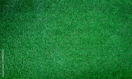 Fotomural The surface of the lawn view from above