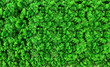 Freeze-dried moss. Decorative coating on empty walls. Natural material, green natural background. Wooden wall, round lamp, light element, neon.