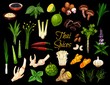 Cooking spices, Thai cuisine herbs and seasonings. Vector Thailand spices, condiments ans herbal flavorings, ginger root, lemongrass and kaffir lime, coriander, lotus and shiitake mushrooms