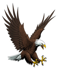 flying bald eagle