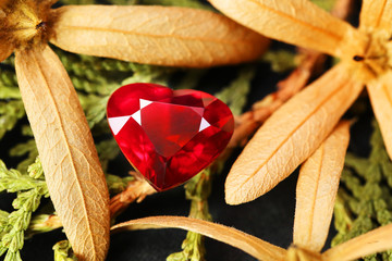 Poster - red gem art and decoration gemstone red ruby