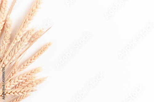 Fotografía Bouquet of wheat spikelets on white background with copy space