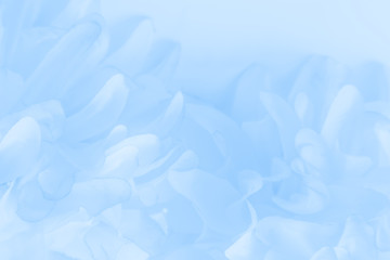 Wall Mural - Beautiful abstract color purple and blue flowers on white background and light blue flower frame and purple leaves texture 