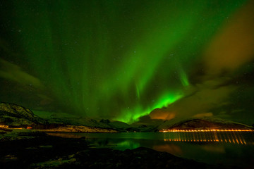 amazing aurora borealis, northern lights, over mountains in the north of europe - lofoten islands, n