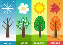 four seasons banners with  trees  - vector illustration, eps    