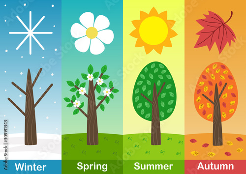 Fotomural four seasons banners with trees - vector illustration, eps