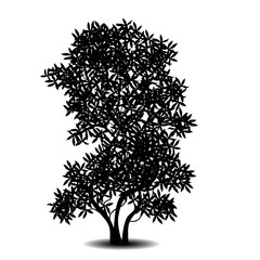 Wall Mural - silhouette detached tree with leaves