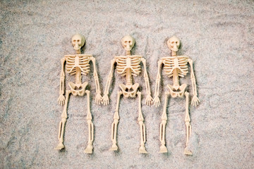 skeleton figure lies in the sand