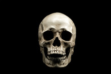 Front View Of A Human Skull With Open Mouth Isolated On Black Background.
