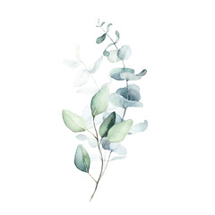 Wall Mural - Watercolor floral illustration bouquet - green leaf branch collection, for wedding stationary, greetings, wallpapers, fashion, background. Eucalyptus, olive, green leaves, etc.