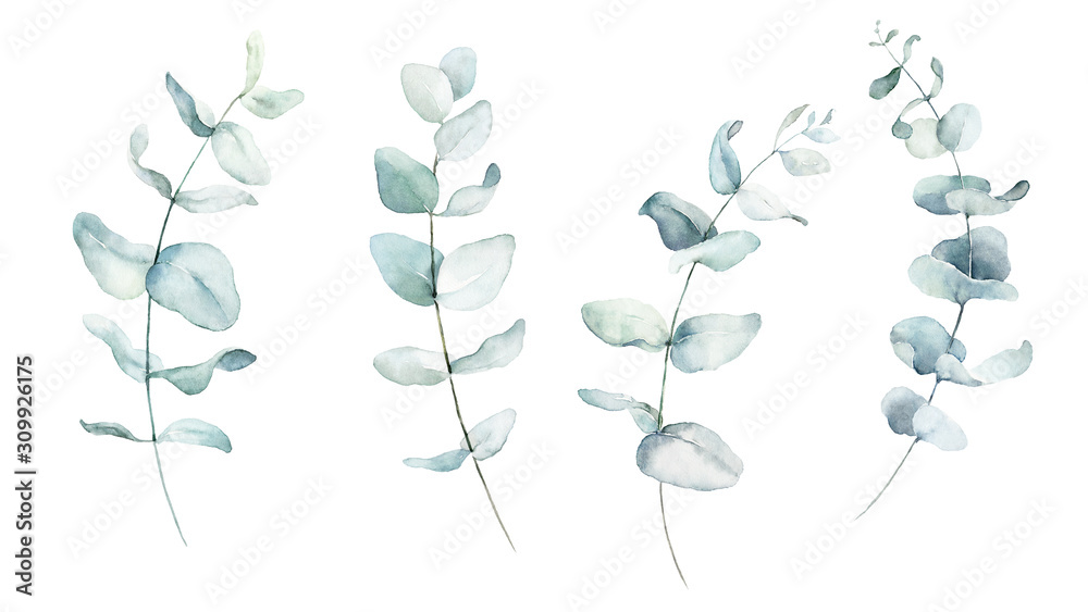 Watercolor floral illustration set - green leaf branches collection ...
