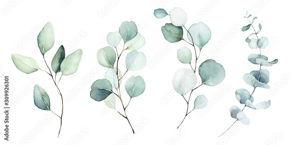 Watercolor floral illustration set - green leaf branches collection, for wedding stationary, greetings, wallpapers, fashion, background. Eucalyptus, olive, green leaves, etc. - obrazy, fototapety, plakaty 
