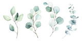 Fototapeta  - Watercolor floral illustration set - green leaf branches collection, for wedding stationary, greetings, wallpapers, fashion, background. Eucalyptus, olive, green leaves, etc.