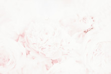 Light Soft Pale Pink Blurred Background With Floral Pattern