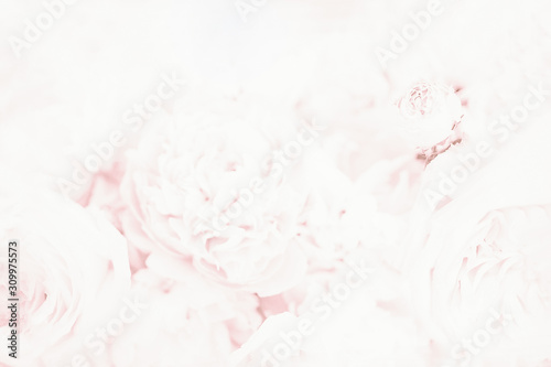 Cuadros en Lienzo Light soft pale pink blurred background with floral pattern
