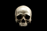 Fototapeta Na ścianę - Frontview of natural human skull on isolated black background