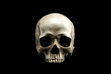 Frontview Of Natural Human Skull On Isolated Black Background