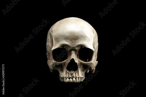 Fotomural Frontview of natural human skull on isolated black background