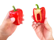 Hand Holding Red Bell Pepper Isolated On White Background