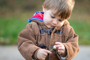 Little boy standing in autumn park whit daisy