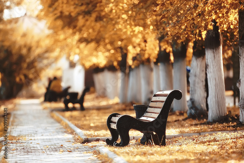 Cuadros en Lienzo landscape in autumn park bench / beautiful garden bench, concept of rest, nobody