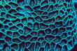Leinwandbild Motiv coral reef macro / texture, abstract marine ecosystem background on a coral reef