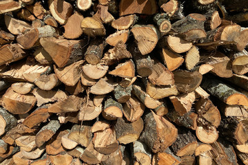 pile of fire wood