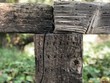 © Laura - old wooden cross on stump