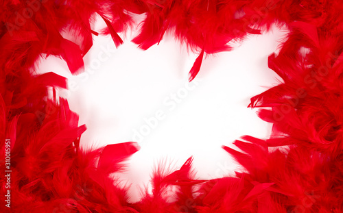 Fotomural Red feathers. Background of red feathers