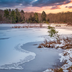 Wall Mural - winter landscape with partially frozen lake and trees