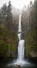 Poster - Vertical low  angle shot of a concrete bridge in front of a waterfall surrounded by a lot of trees