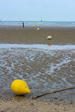 Fototapeta Tęcza - Empty beach with low tide and line of yellow buoys