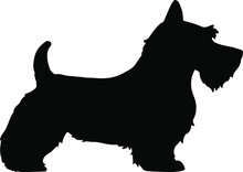 Silhouette Of Scottish Terrier Dog