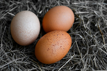 Wall Mural - Chicken eggs in wicker nests in chicken coop top view. Natural organic eggs in the hay. Fresh chicken eggs.