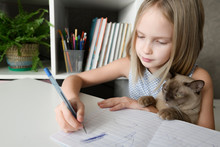 Girl With A Cat Sitting At Table At Home Doing Homework