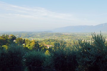 Wall Mural - Fog on the Italian hillside